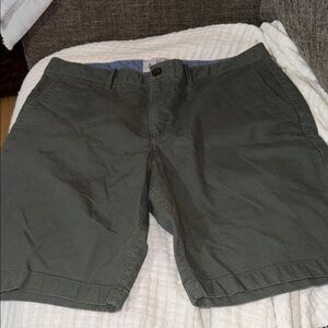 Men's penguin Green Casual Shorts
